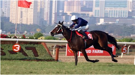 online horse betting in india|Top Horse Race Betting Sites in India: Legal and Trusted.
